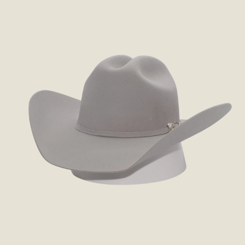 100X Felt Hat Texana Texas