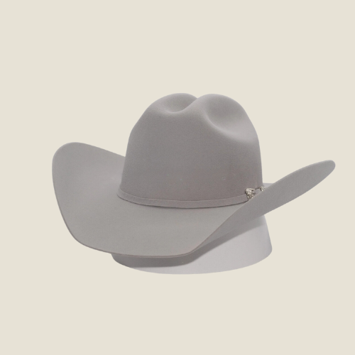 100X Felt Hat Texana Texas