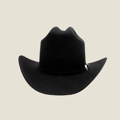 100X Felt Hat Texana Patron