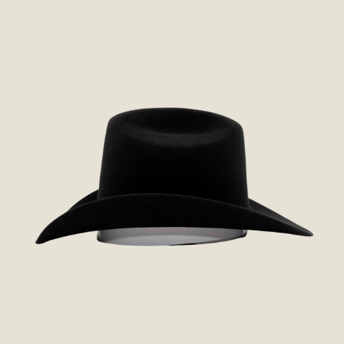 100X Felt Hat Texana Patron