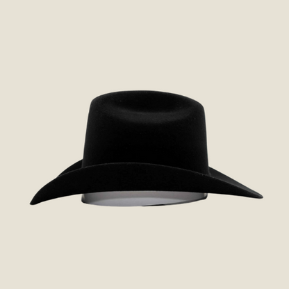 100X Felt Hat Texana Patron