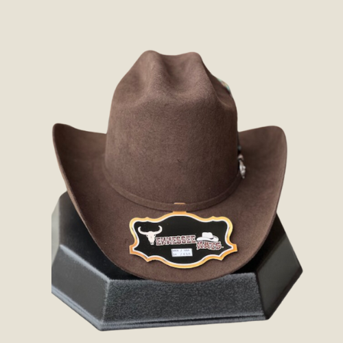 100X Felt Hat Texana Patron