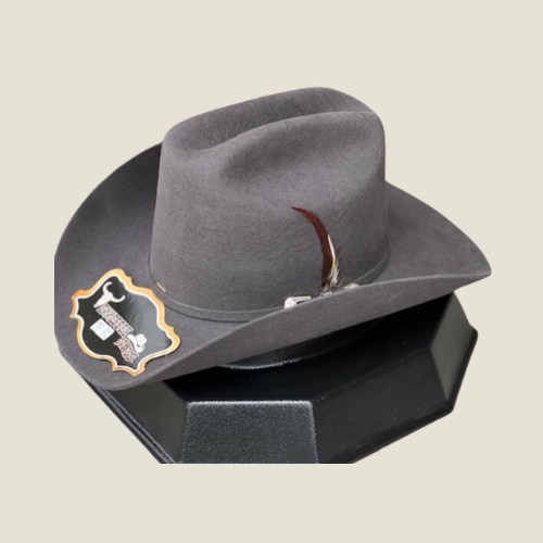 100X Felt Hat Texana Patron