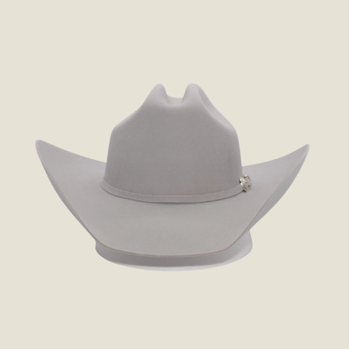 100X Felt Hat Texana Texas